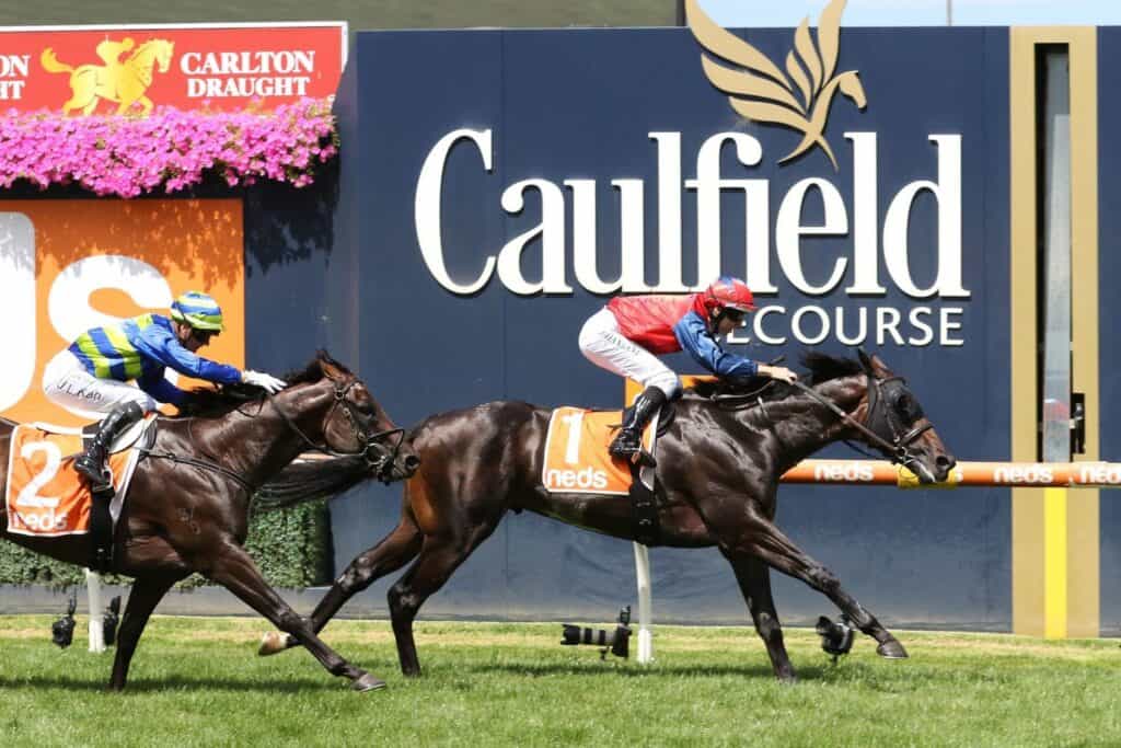 Finance Tycoon racing to the line at Caulfield