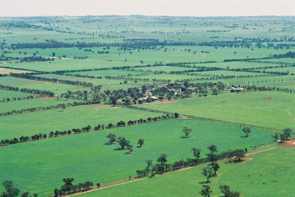 Kooringal Stud