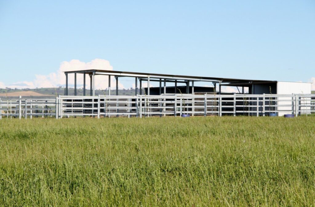 Kooringal Stud
