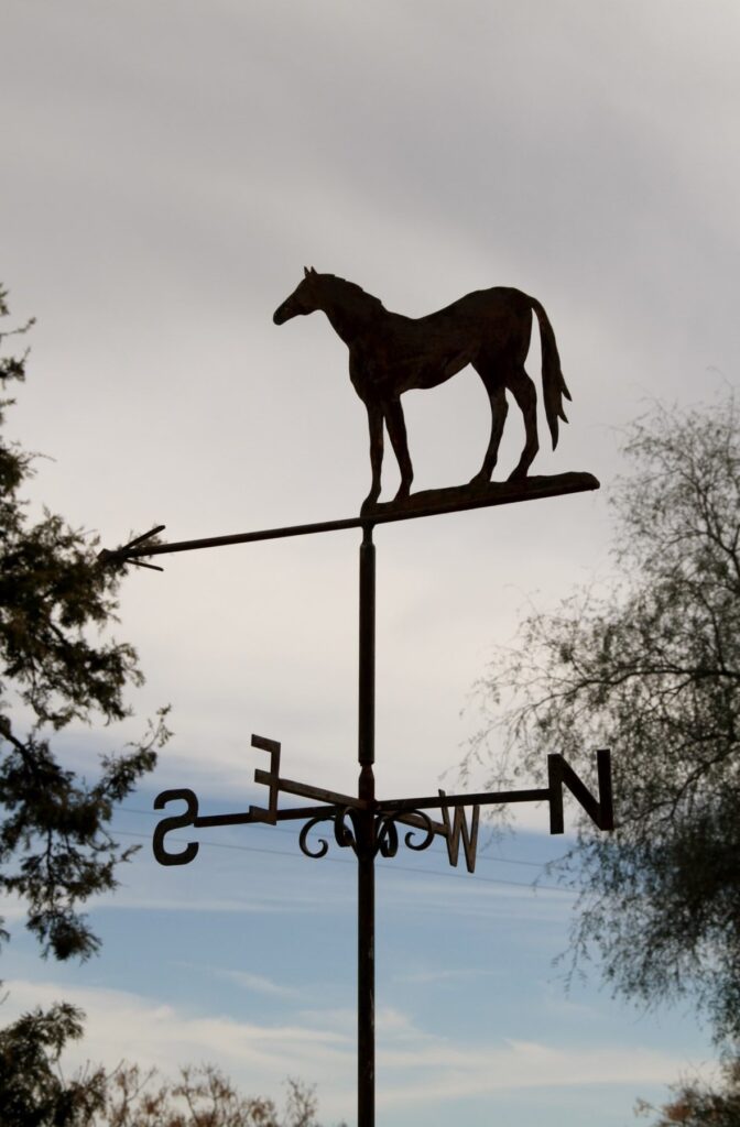 Kooringal Stud