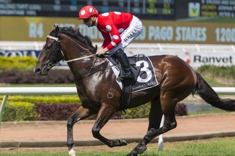 Sandbar racing in red and white silks