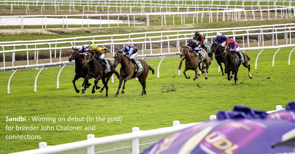 Sandbi winning, by Sandbar